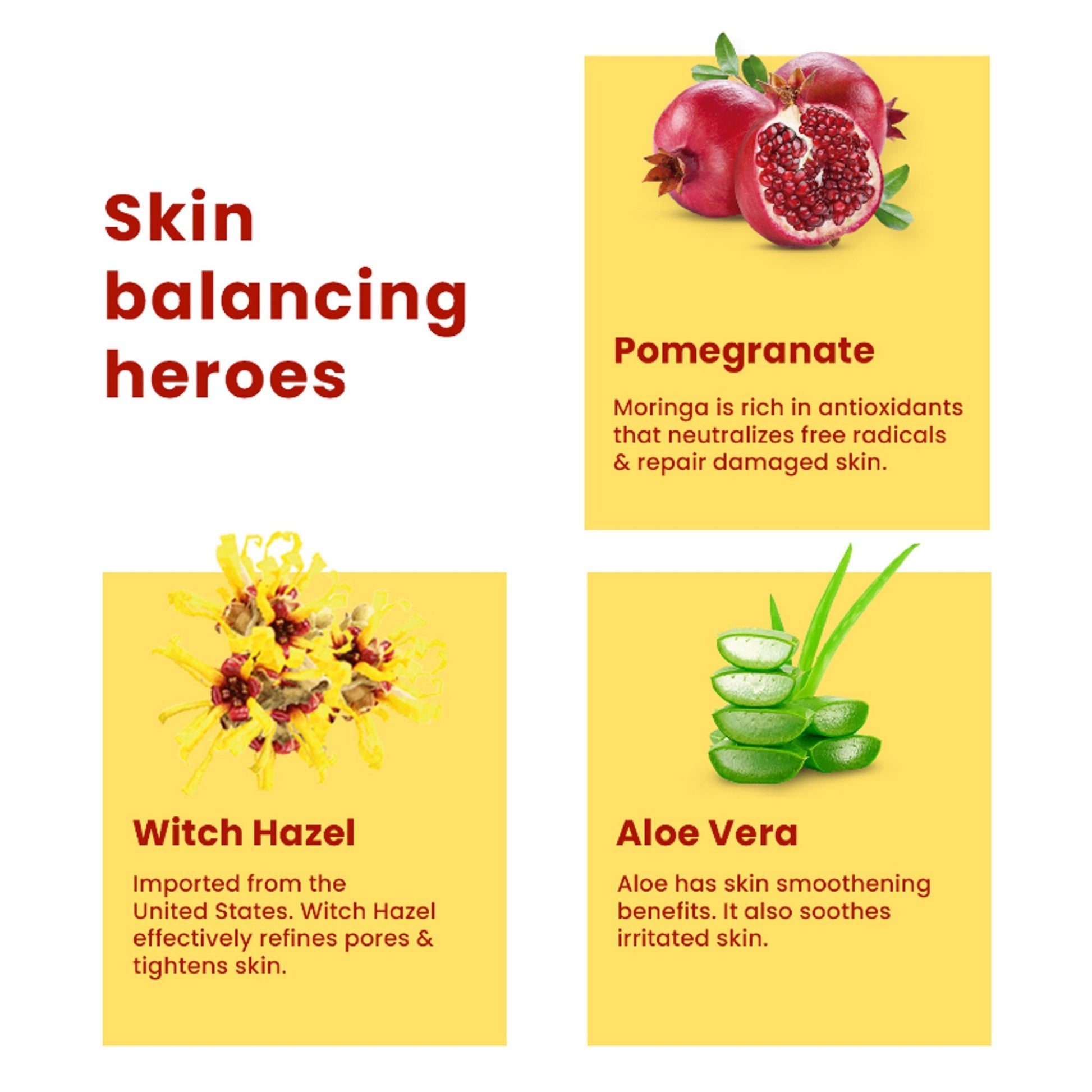 The Skin Story Water-like Hydrating Face Toner For Oily Acne Prone Skin With AloeVera  Grab2Buy The Skin Story Grab2Buy