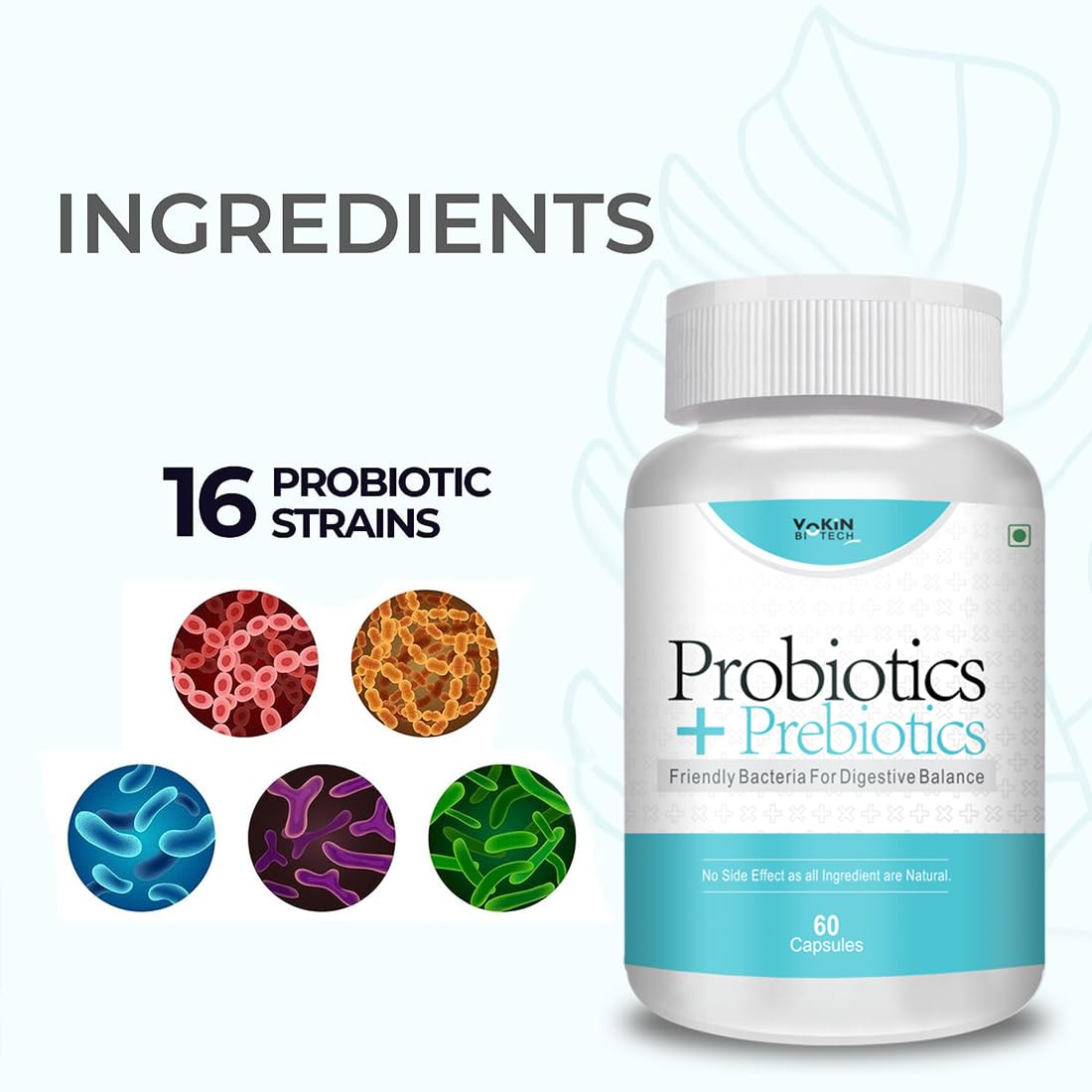 Vokin Biotech Probiotics+ Prebiotics Supplement 50 Billion Cfu For Women & Men With Prebiotics 150 mg | Probiotic Capsules For Digestion Support, Gut Health And Immunity  Grab2Buy Vokin Biotech Grab2Buy