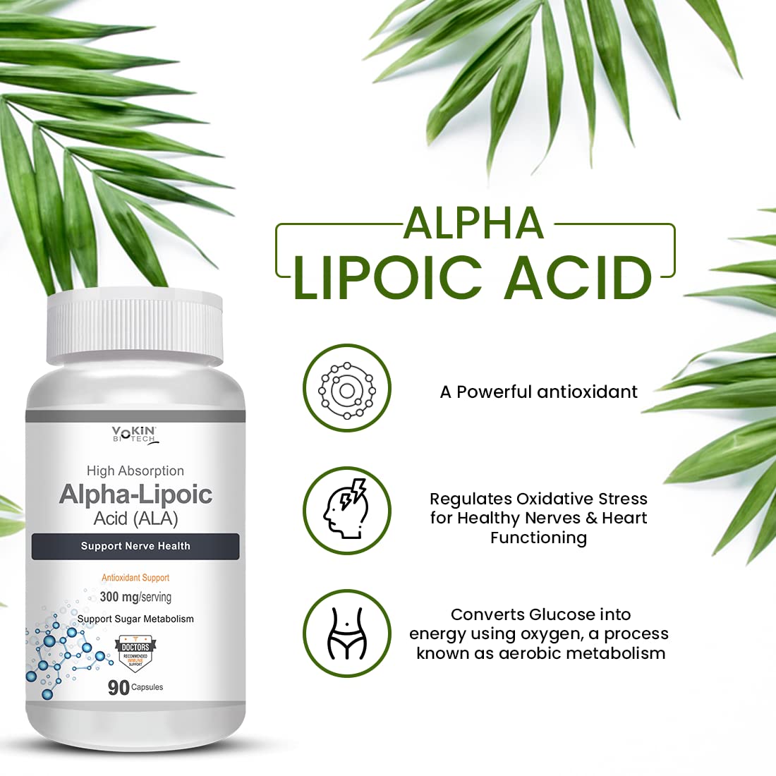 Vokin Biotech Alpha Lipoic Acid (ALA) 300 mg- Support Nerve Health & Sugar Metabolism)  Grab2Buy Vokin Biotech Grab2Buy