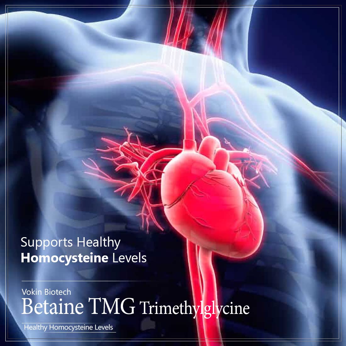 Vokin Biotech Betaine Trimethylglycine (TMG) for Support Healthy Homocysteine Levels  Grab2Buy Vokin Biotech Grab2Buy