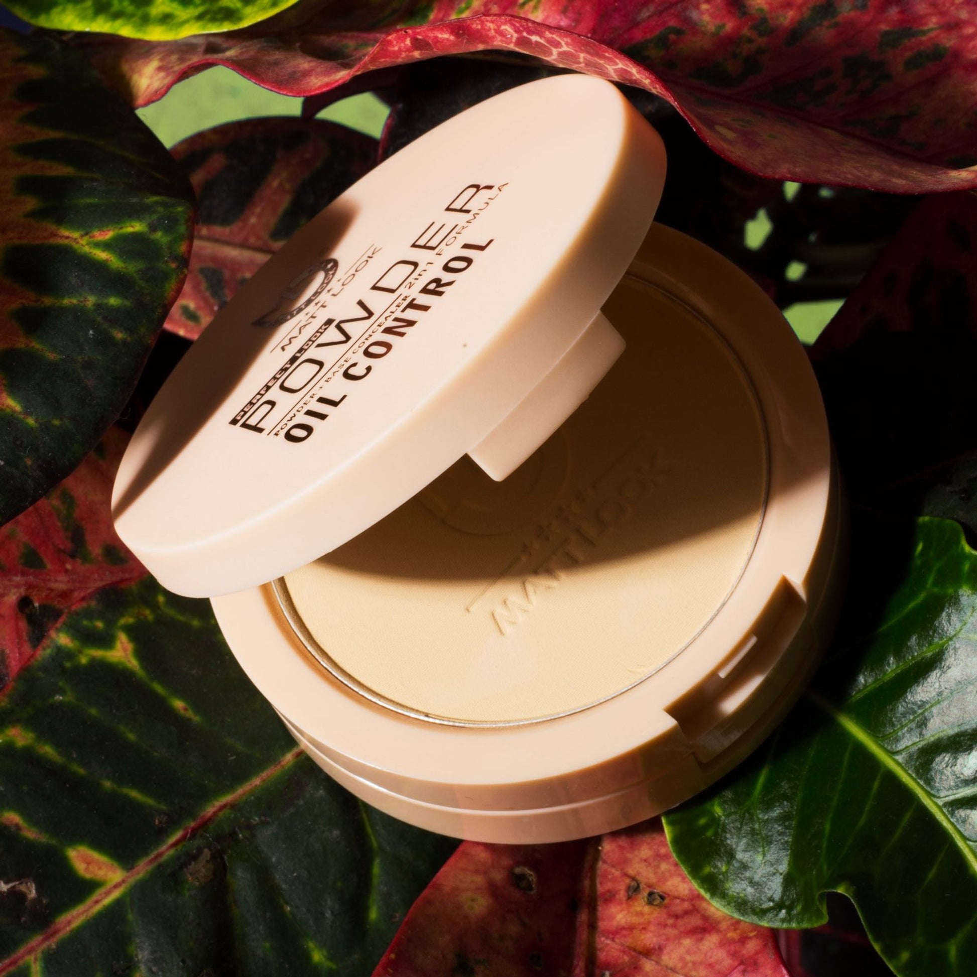 Matt Look Perfect Look 2 In 1 Formula Oil Control Powder - Fair 