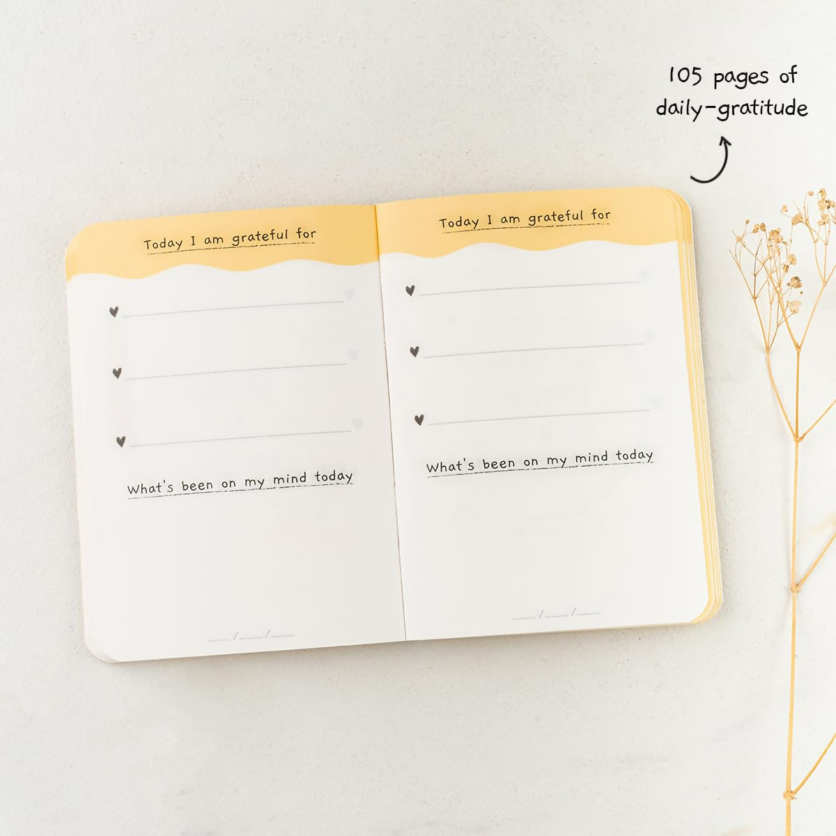 The Journal Lab Pocket Gratitude Journal Pocket Friendly For Men & Women  Grab2Buy Generic Grab2Buy