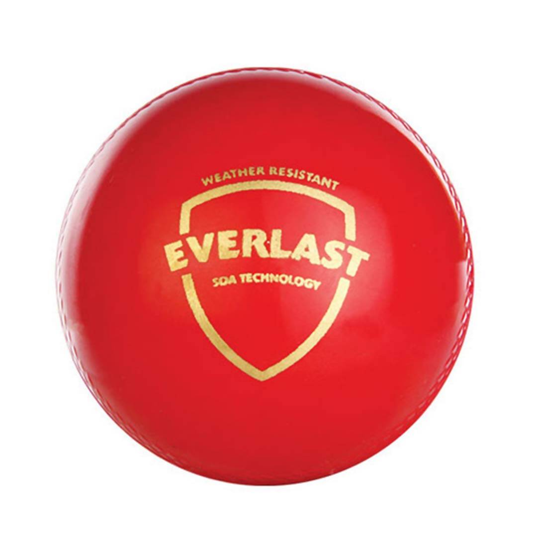 SG Everlast Leather Cricket Ball - Red 