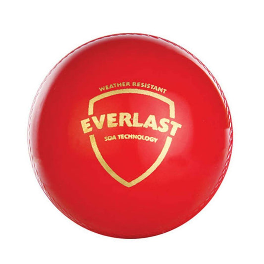 SG Everlast Leather Cricket Ball - Red 