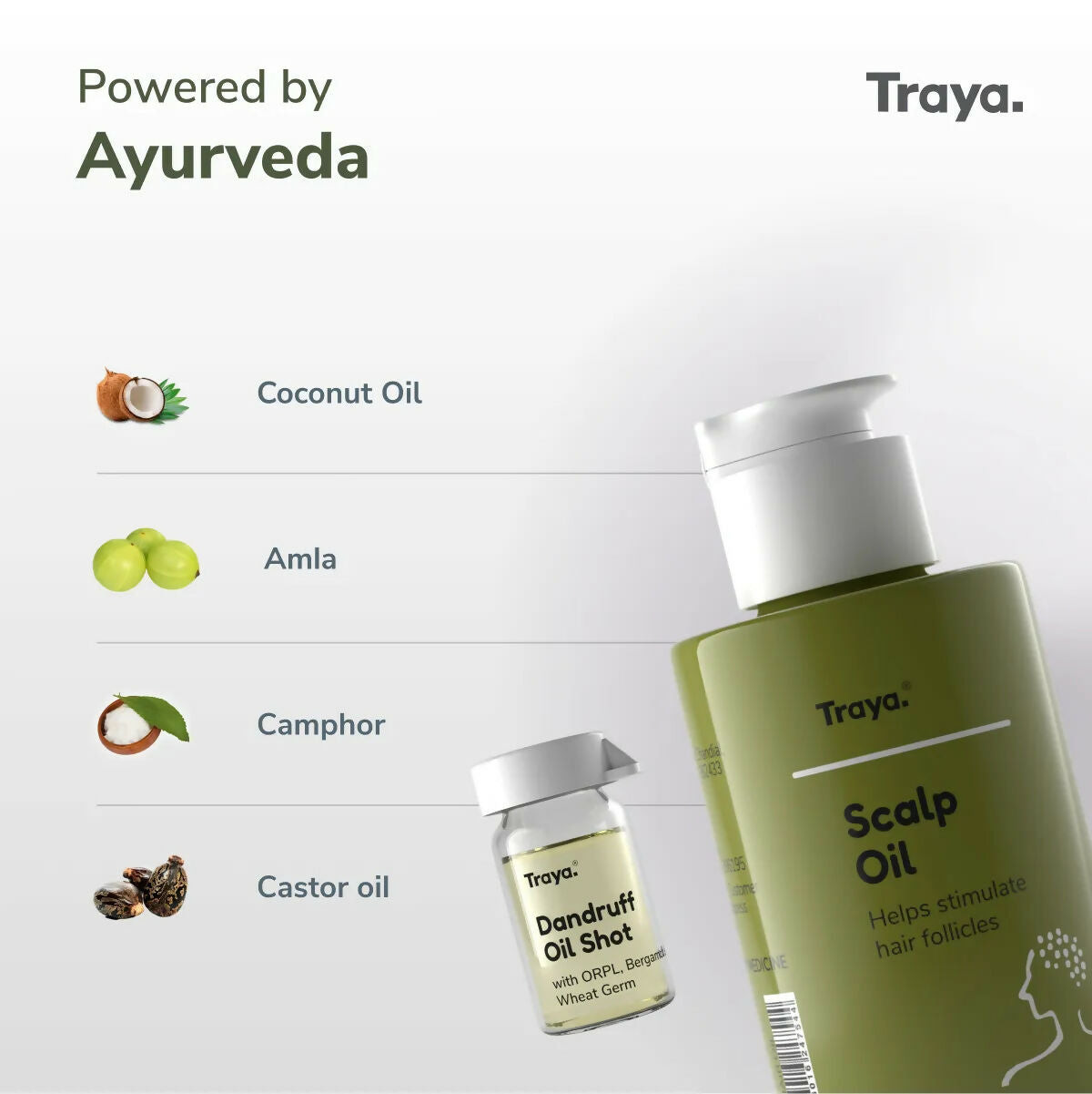 Traya Scalp Oil with Dandruff Oil Shot  Grab2Buy Traya Grab2Buy