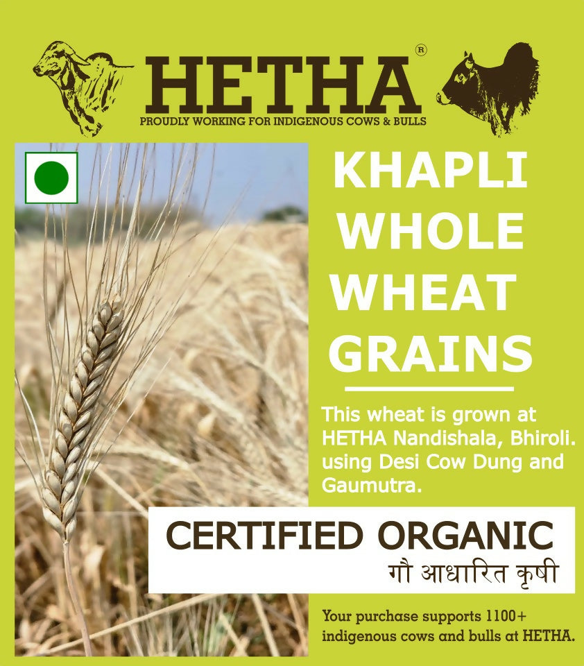 Hetha Khapli Whole Wheat Grains - Certified Organic by ECOCERT 