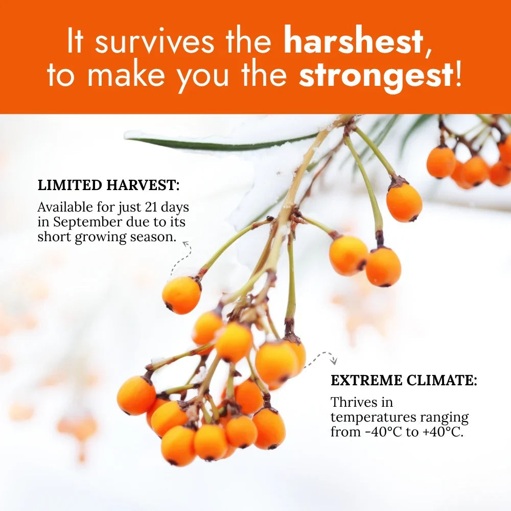 Nutriorg Sea Buckthorn Juice 