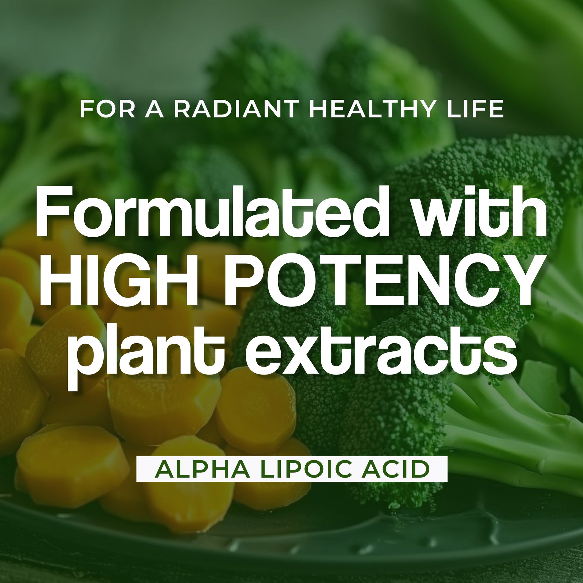 Health Veda Organics Alpha Lipoic Acid Capsules 