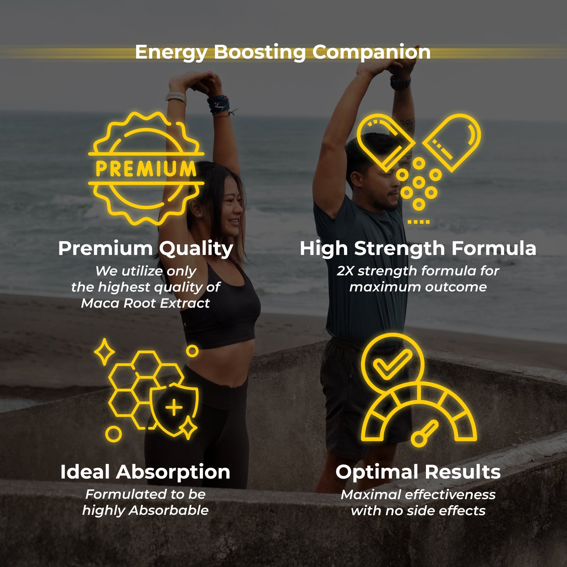 Health Veda Organics Plant Based Korean Red Ginseng Capsules Health Veda Organics