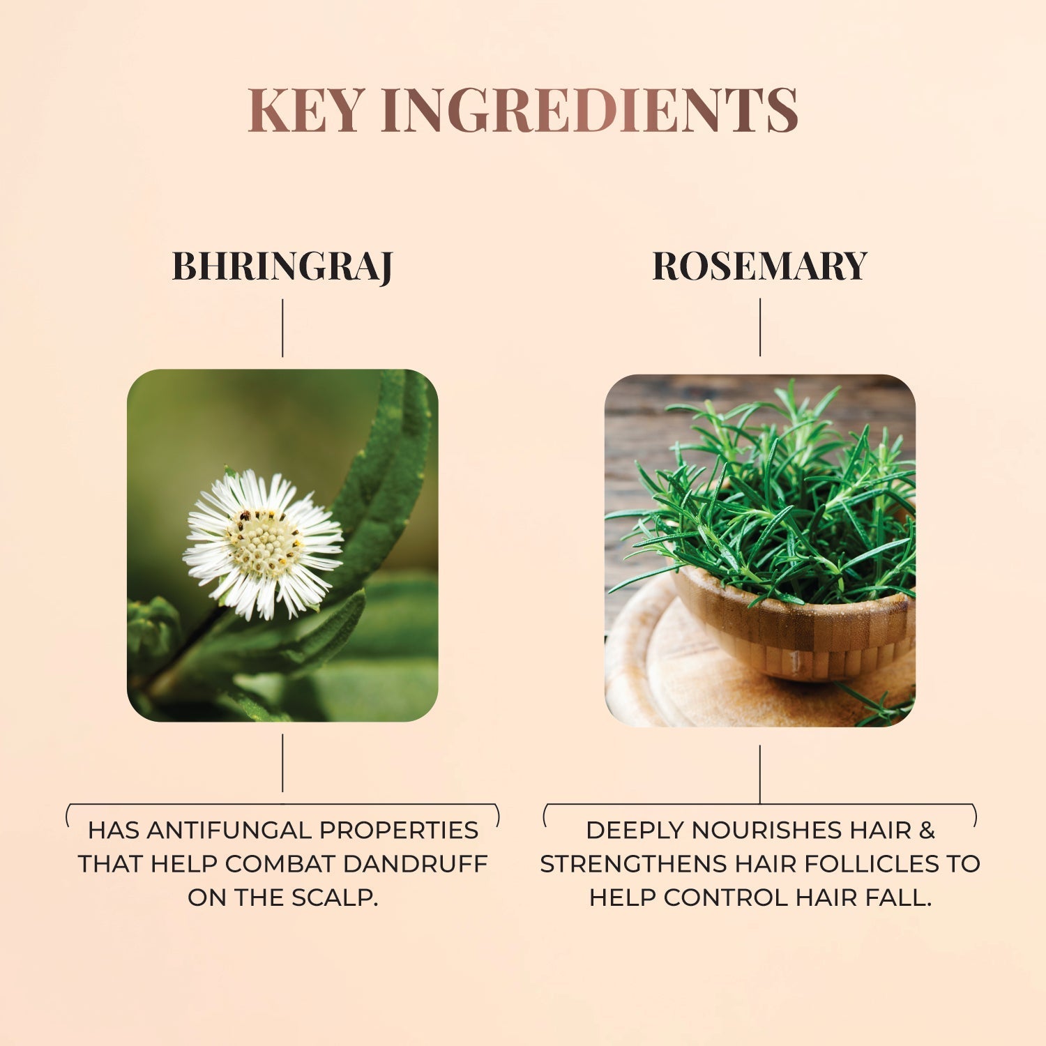 Nourishing Hair Cream with Bhringraj & Rosemary 