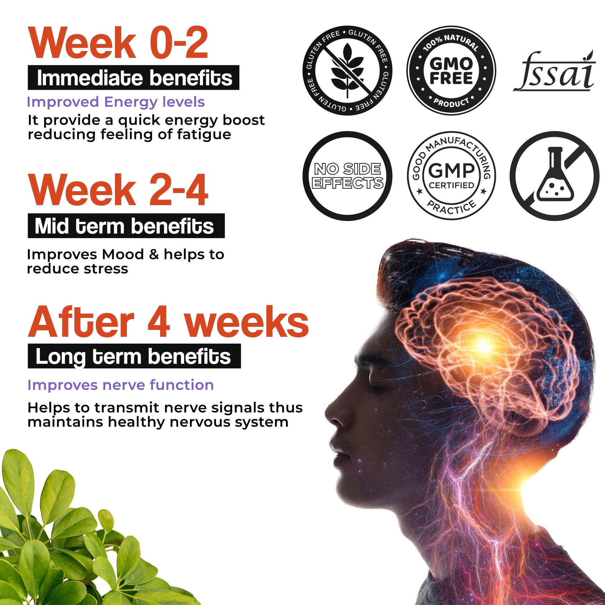 Health Veda Organics Plant Based B-Complex Tablets 