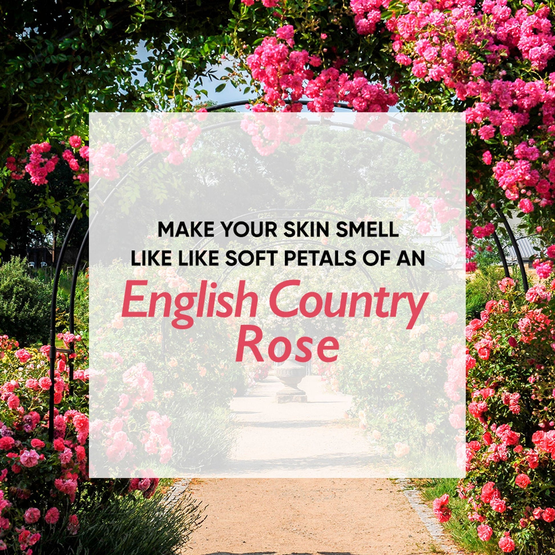 Wanderlust Moisturizing Body Lotion - Country Rose  Grab2Buy Wanderlust Grab2Buy