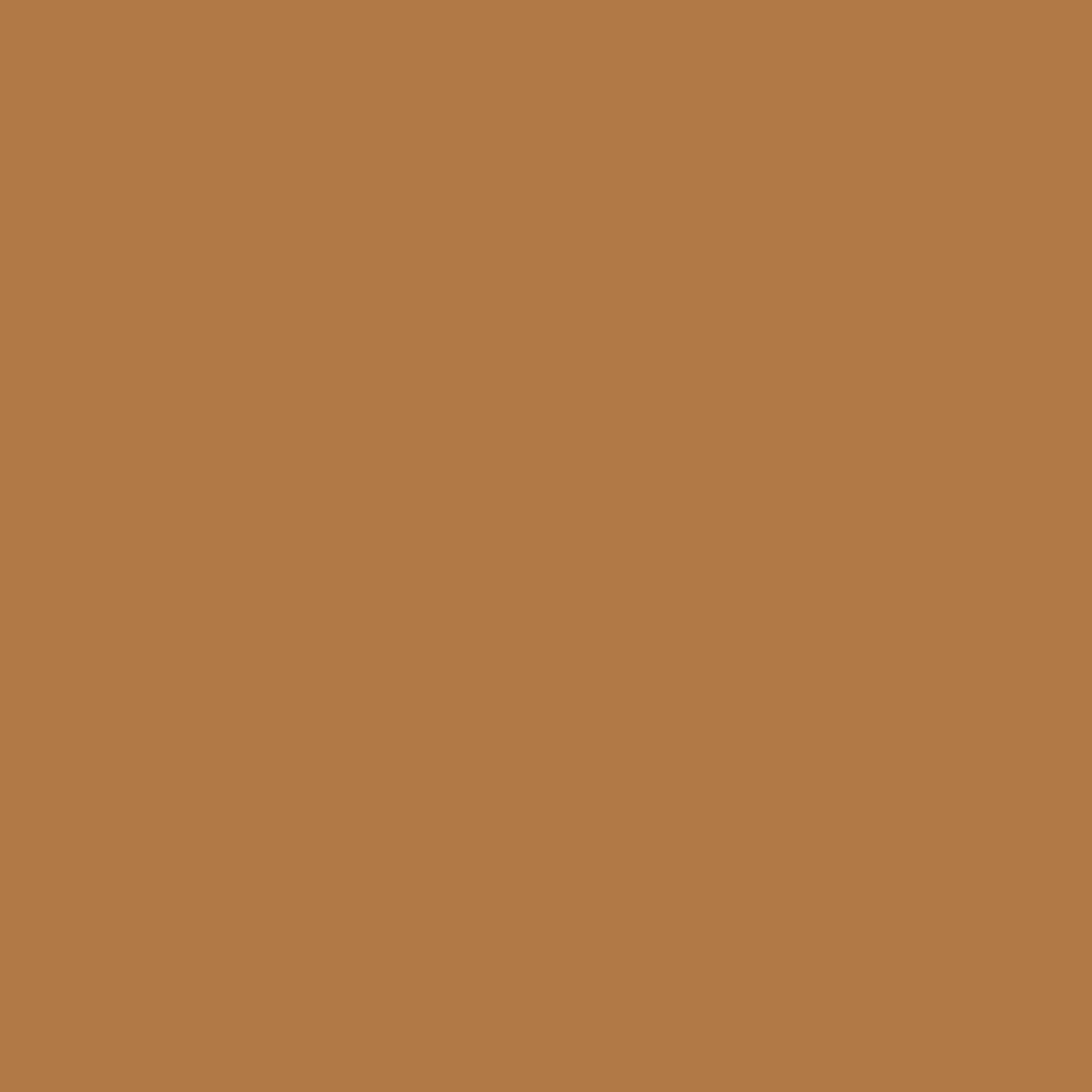 Shopaarel Extra Blend Matte Foundation - 6