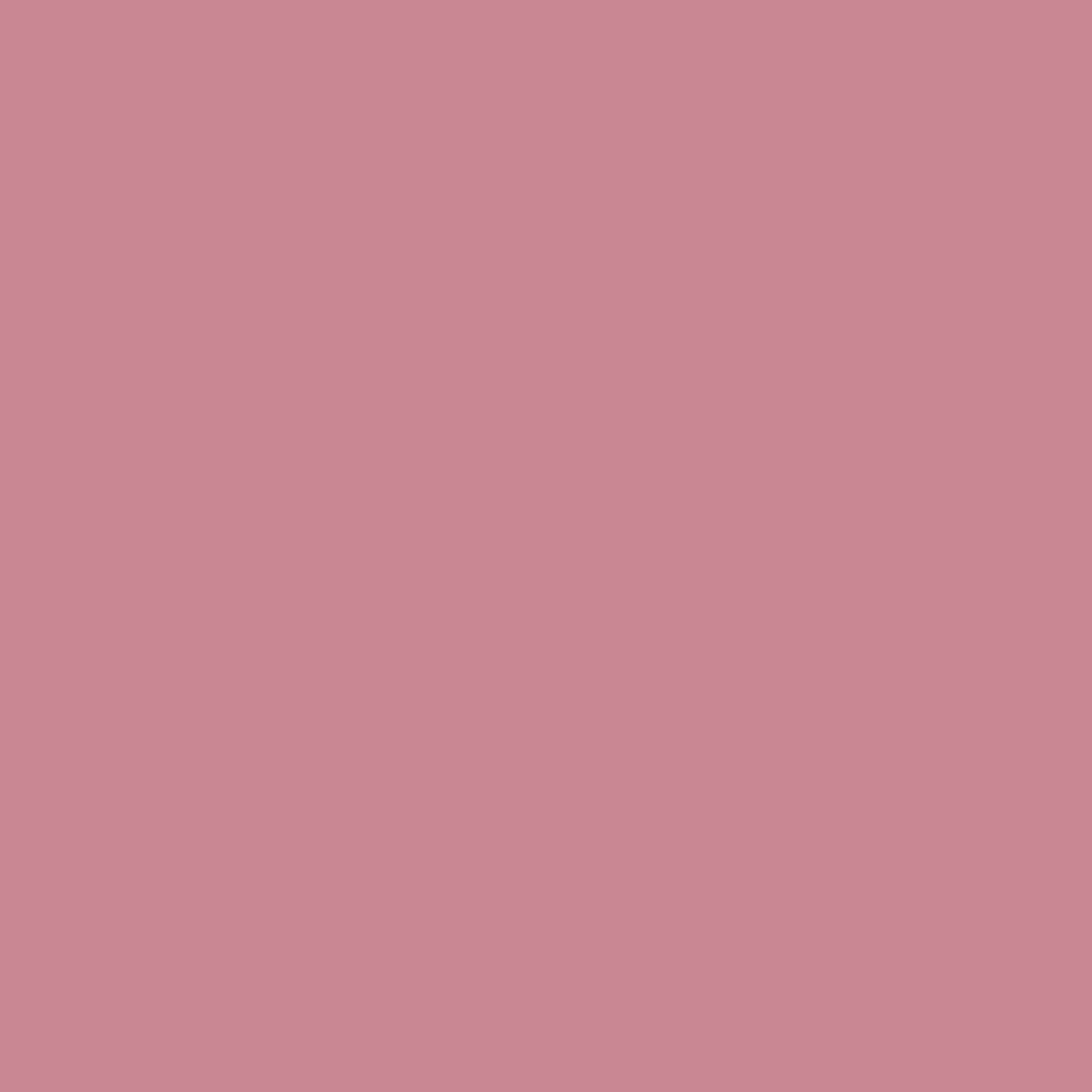 Shopaarel Silky Matte Gloss Liquid Lipstick - Gorgeous-12