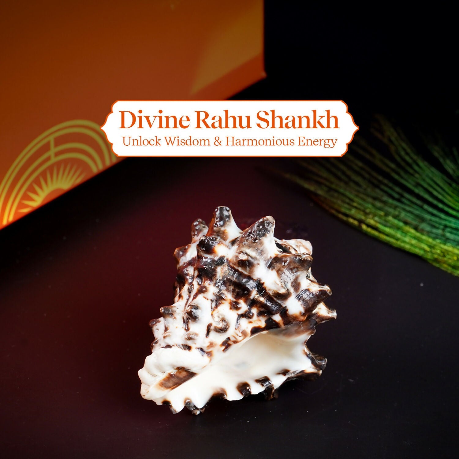 Pujashree Rahu Shankh – Spiritual Conch for Rahu Dosha Relief & Puja
