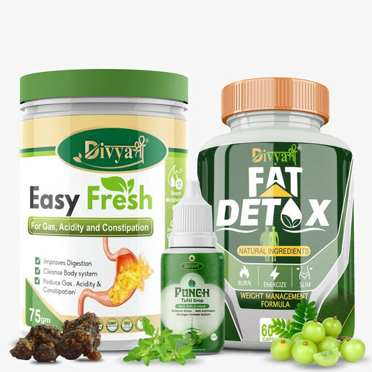 Divya Shree Fat Detox Capsule + Easy Fresh Powder & Punch Tulsi Drop Gas Combo Kit 