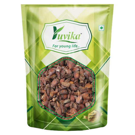 Yuvika Beedana - Pyrus Cydonia - Quince Seeds 