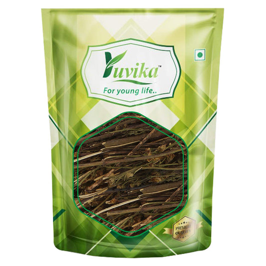 Yuvika Chiraita Asli - Swertia Chiraita - Bitter Stick - Indian Gentian 