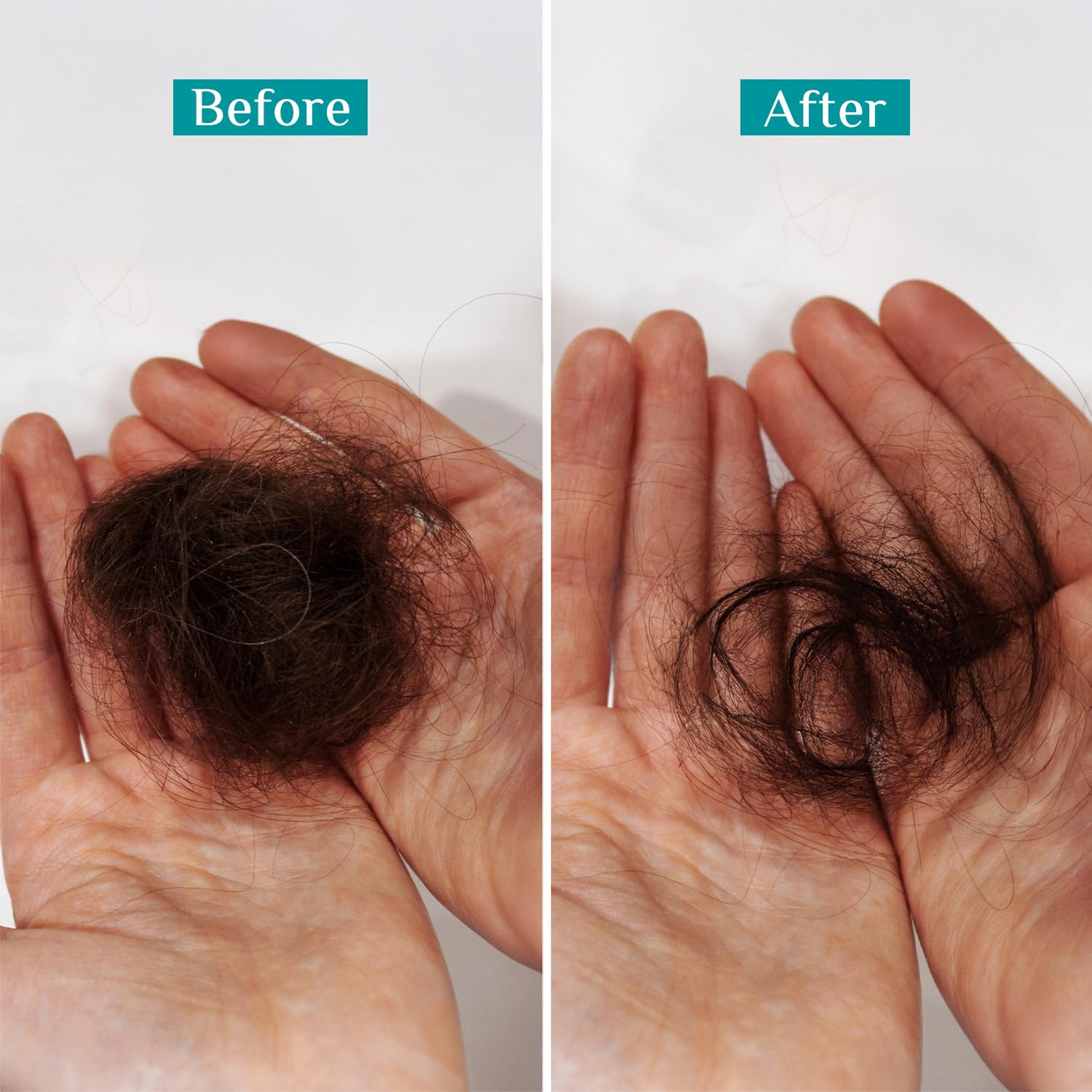Pilgrim Spanish Rosemary Anti-Hairfall Shampoo (GTM) 