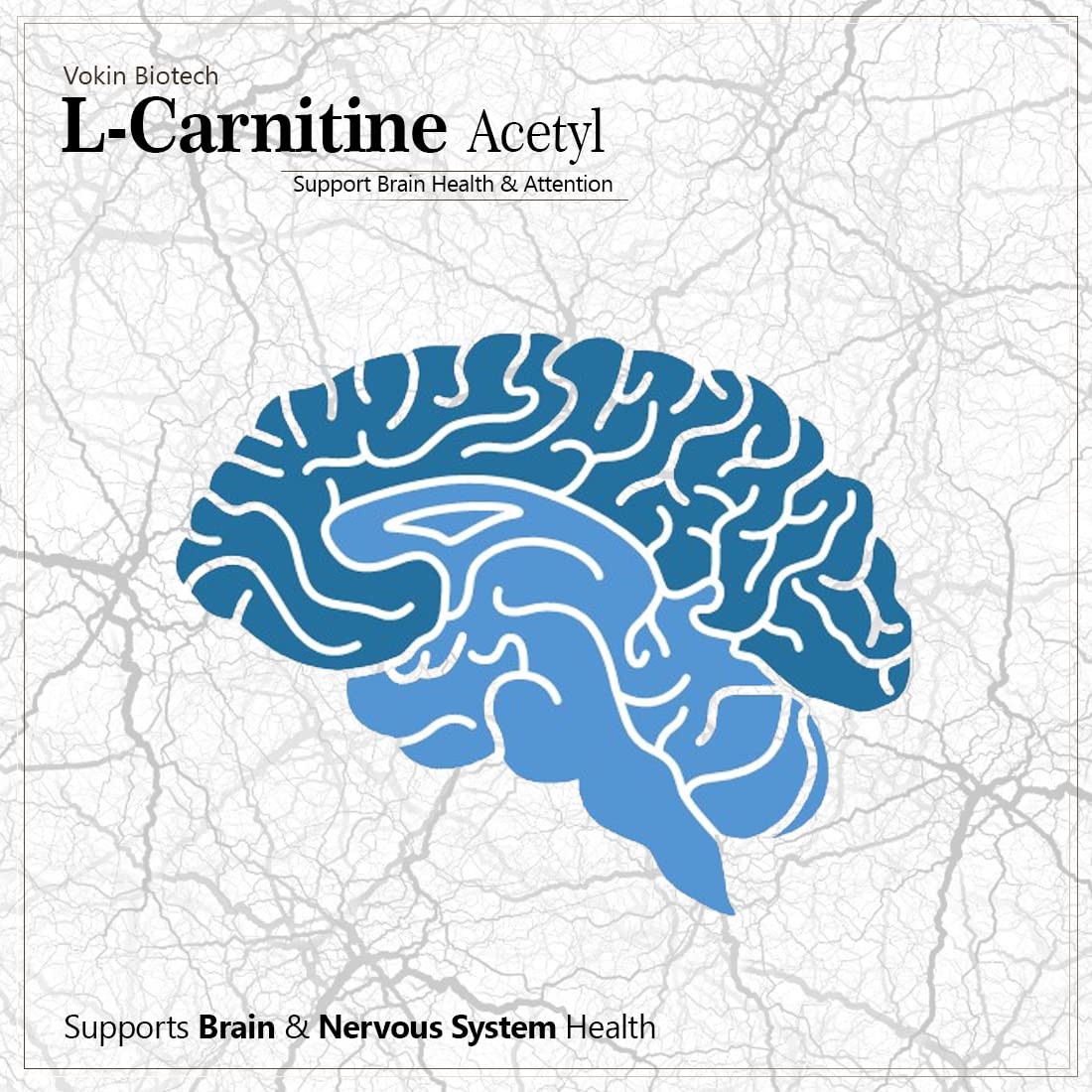 Vokin Biotech L-Carnitine Acetyl (ALCAR)- Support Brain Health- 500 mg  Grab2Buy Vokin Biotech Grab2Buy