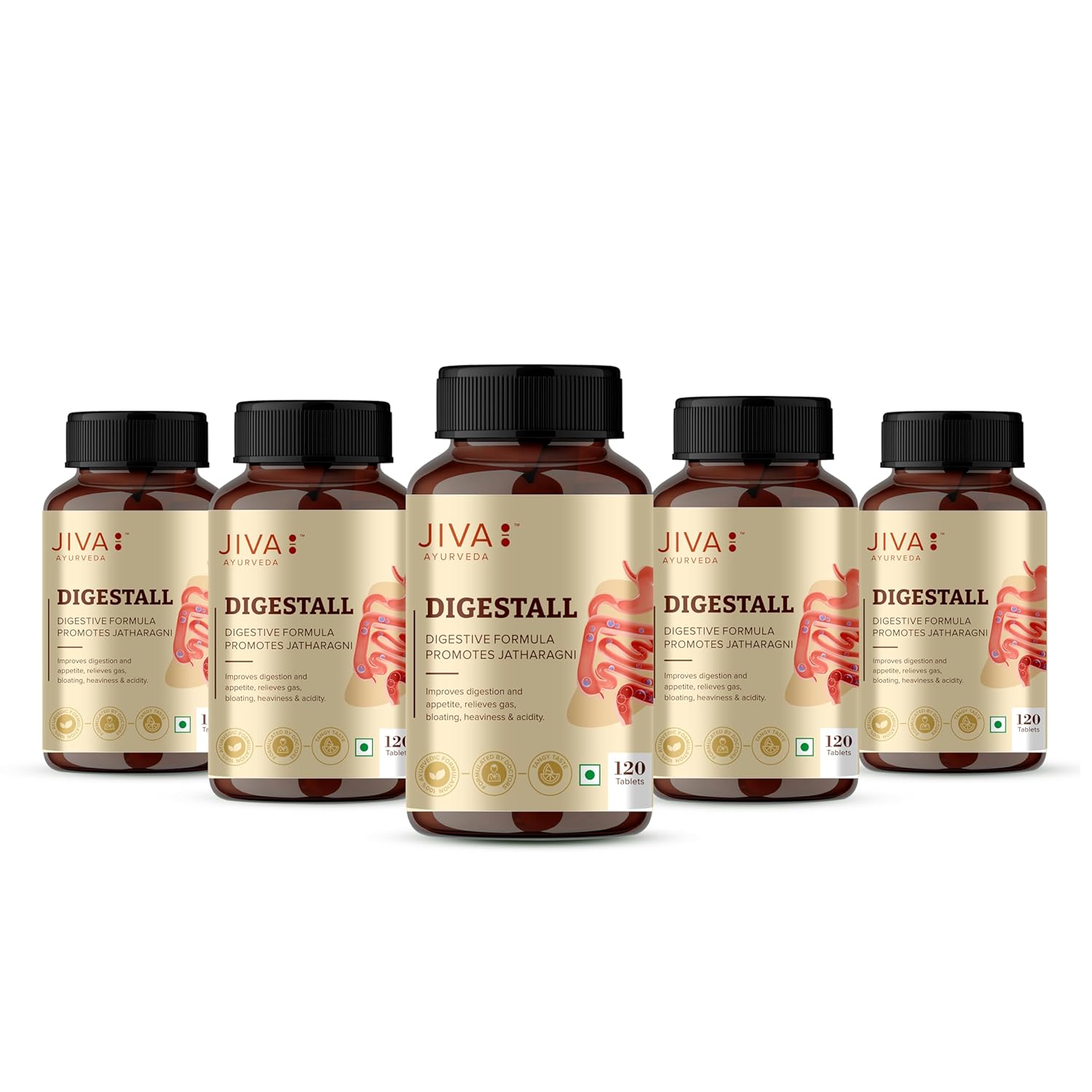 Jiva Ayurveda Digestall Tablets 