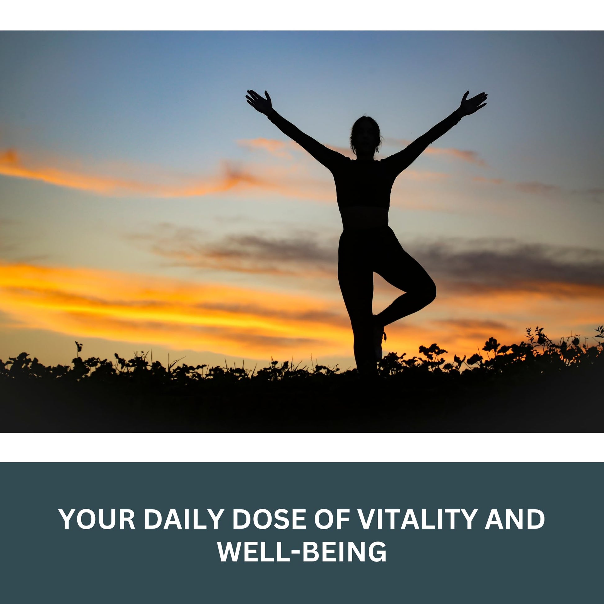Vokin Biotech L- Glycine Energy Production - Support Cognitive and Sleep Health- 500mg  Grab2Buy Vokin Biotech Grab2Buy