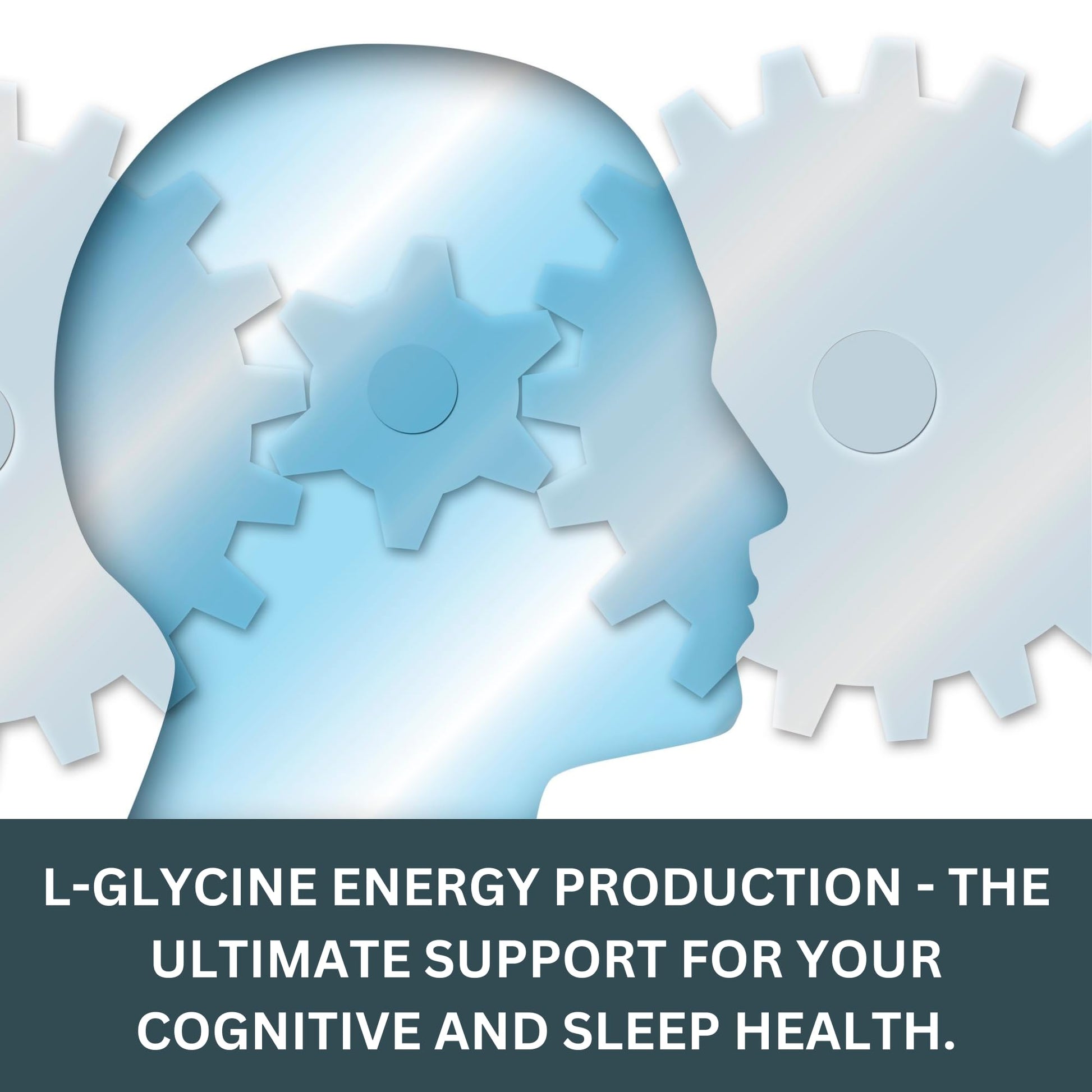 Vokin Biotech L- Glycine Energy Production - Support Cognitive and Sleep Health- 500mg  Grab2Buy Vokin Biotech Grab2Buy