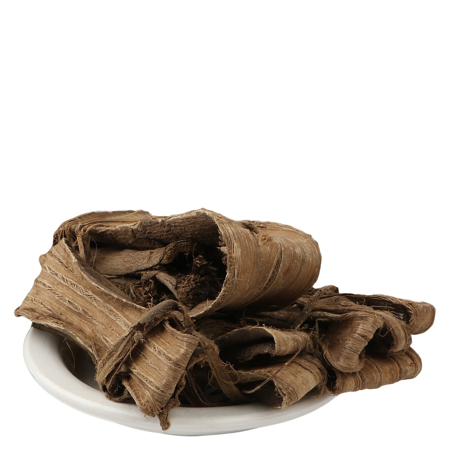 Yuvika Dandasa | Datoon - Juglans - Walnut Tree Peel 