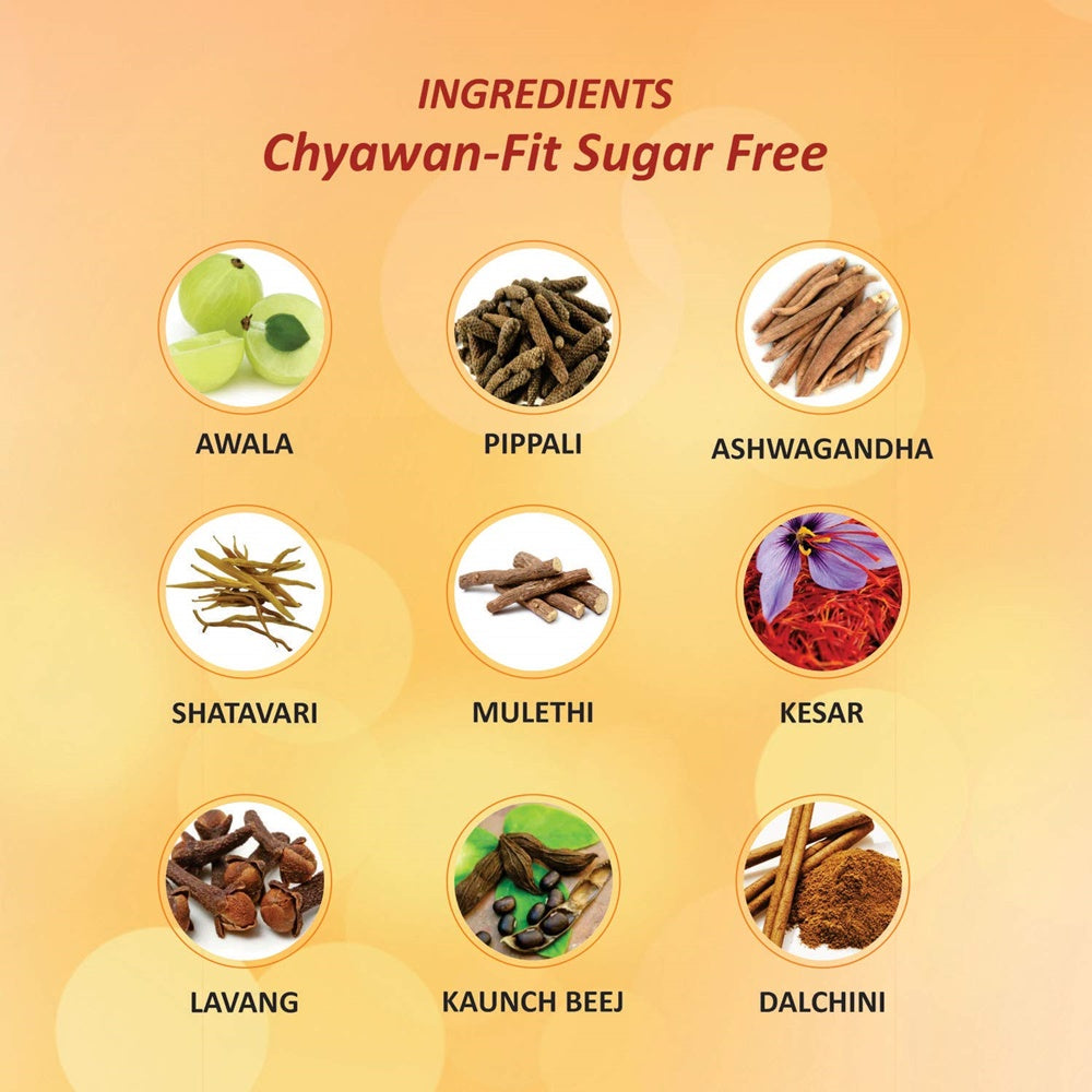 Baidyanath Chyawan-Fit Sugarfree  Grab2Buy Baidyanath Grab2Buy