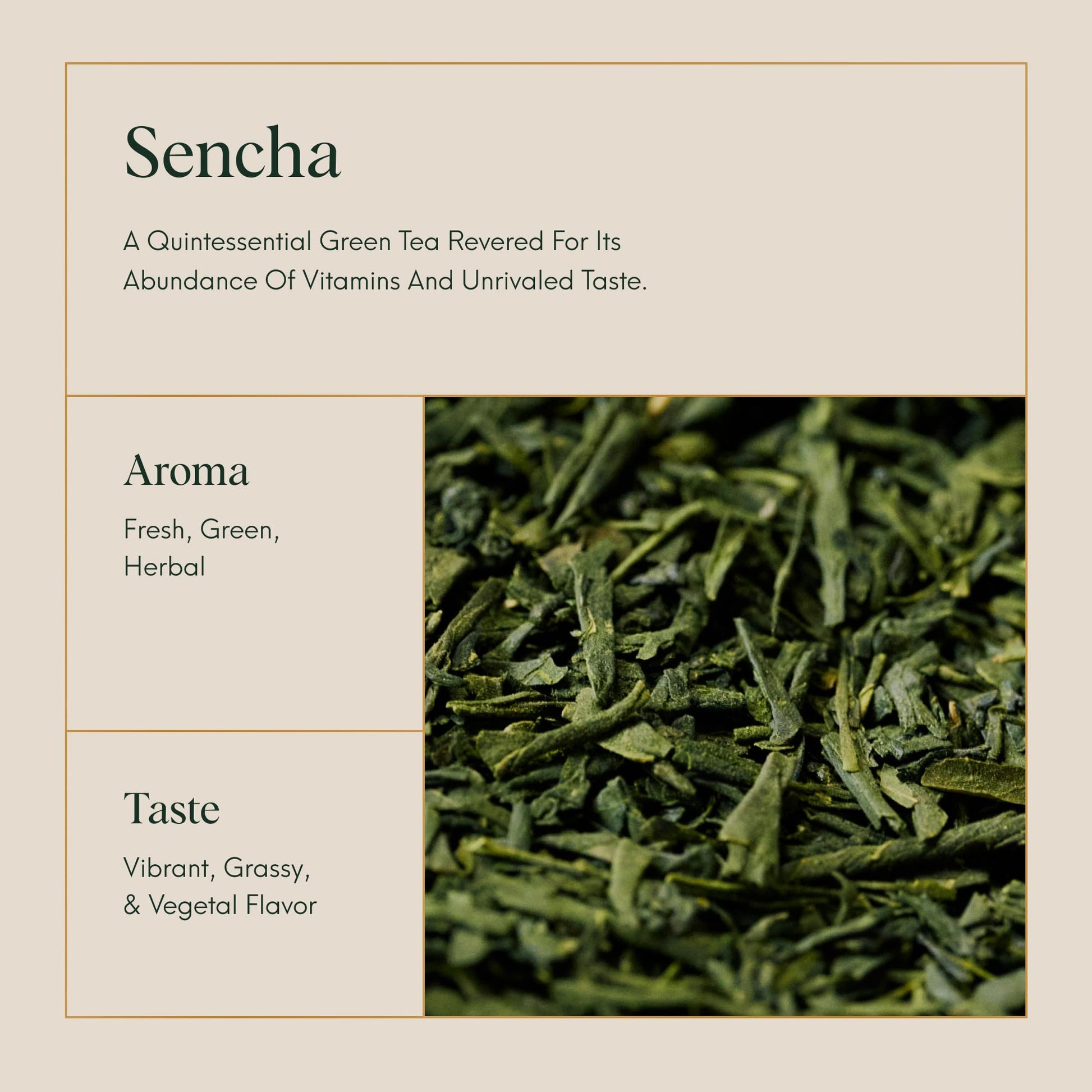 ILEM JAPAN Sencha Green Tea Bags