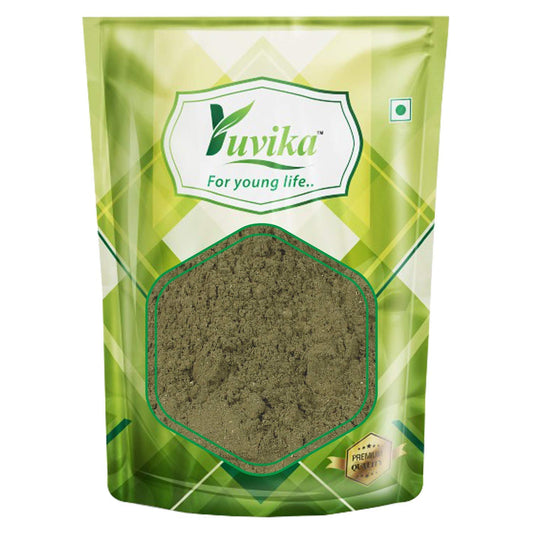 Yuvika Podina | Pudina Powder - Mentha Arvensis Linn - Mint Leaves 