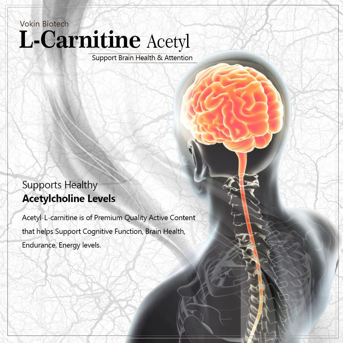 Vokin Biotech L-Carnitine Acetyl (ALCAR)- Support Brain Health- 500 mg  Grab2Buy Vokin Biotech Grab2Buy