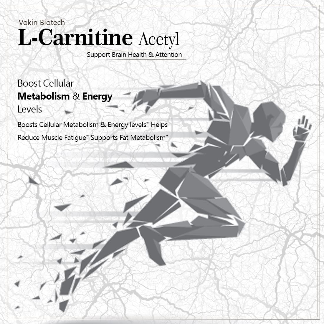 Vokin Biotech L-Carnitine Acetyl (ALCAR)- Support Brain Health- 500 mg  Grab2Buy Vokin Biotech Grab2Buy