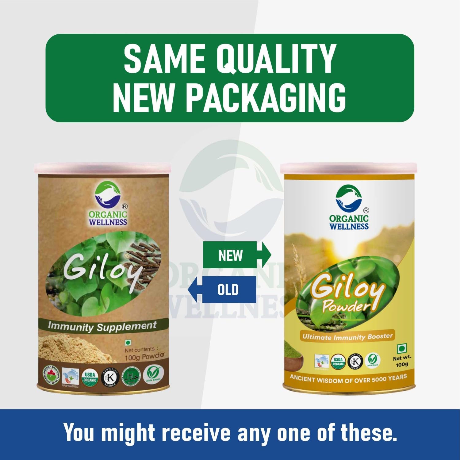 Organic Wellness Giloy Powder 