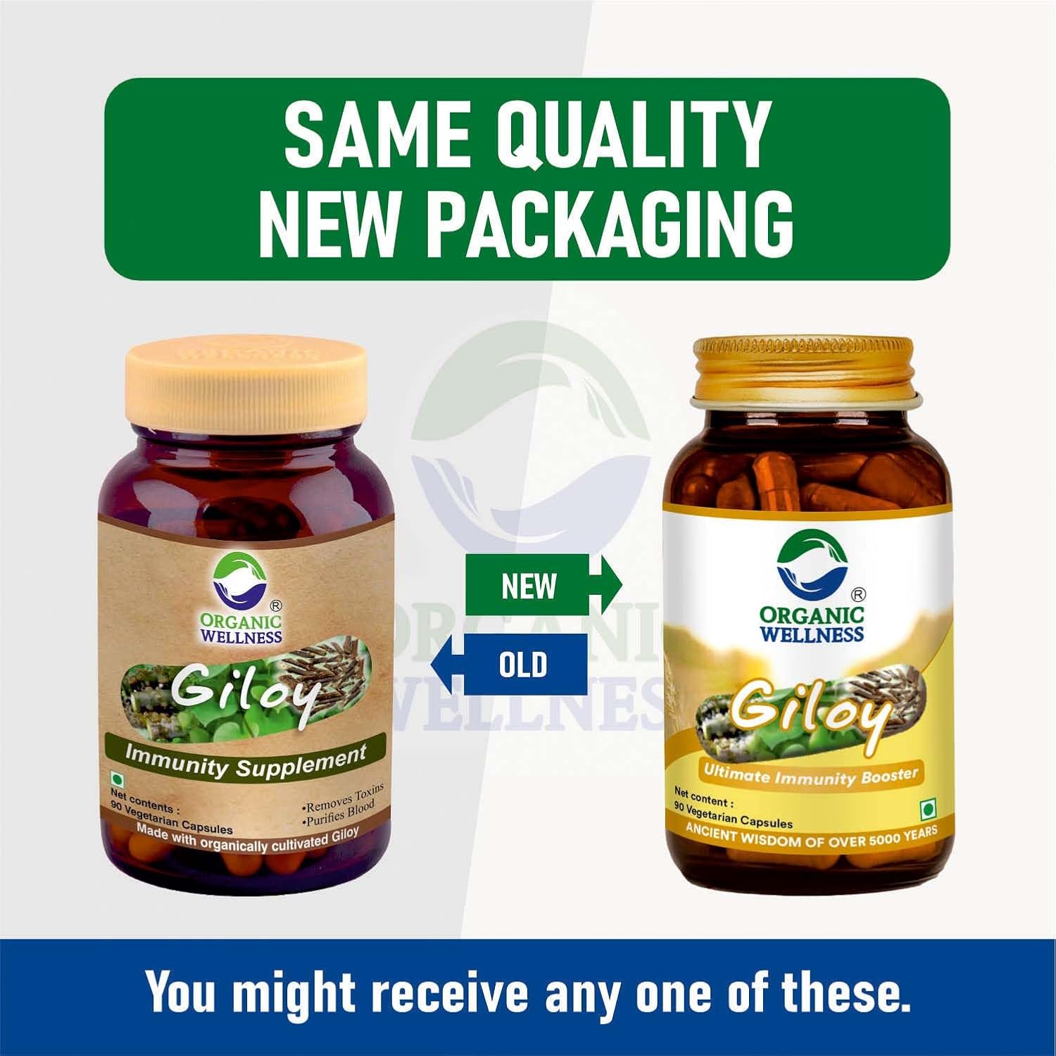 Organic Wellness Giloy Capsules - Grab2buy