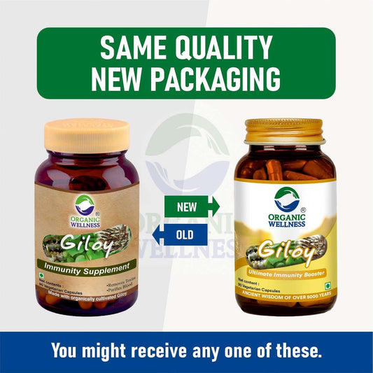 Organic Wellness Giloy Capsules - Grab2buy