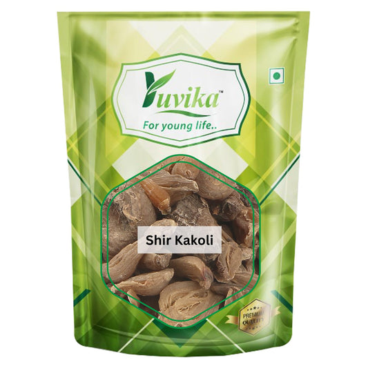 Yuvika Shir Kakoli - Kshirkakoli - Lilium Polyphyllum 