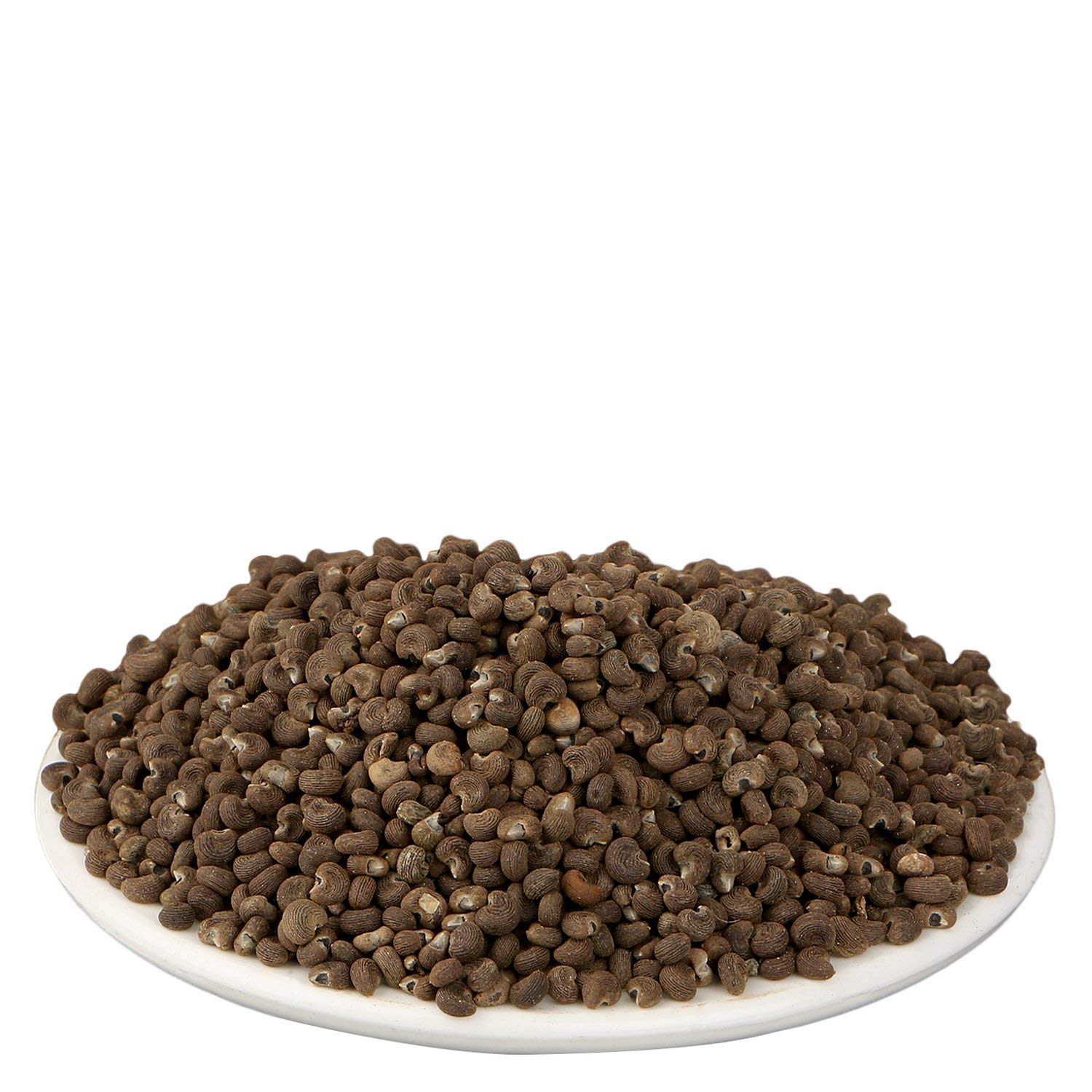 Yuvika Mushk Dana - Ambrette Seeds 