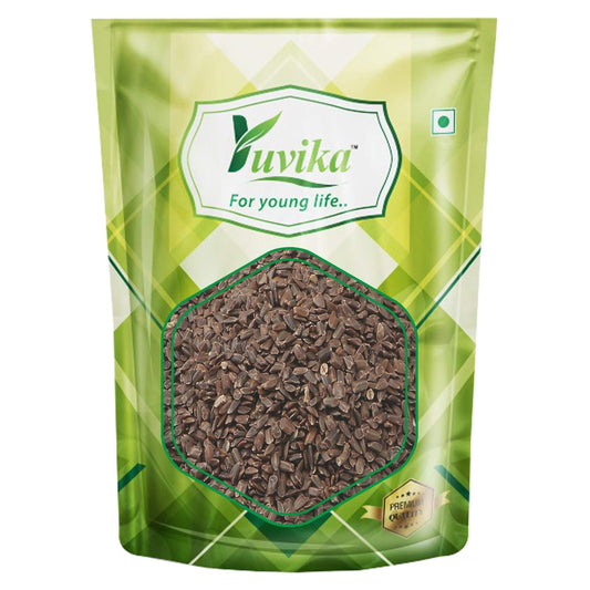 Yuvika Talmakhana - Astercantha Longifolia 