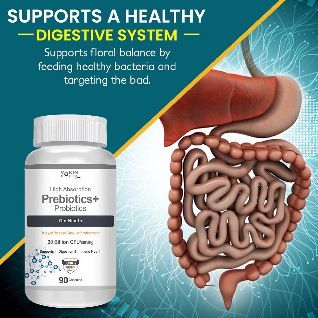Vokin Biotech Prebiotics + Probiotics 20 Billion Cfu Supplement with Delayed-Release Capsules for Temperature Stable, Digestion and Immune Health  Grab2Buy Vokin Biotech Grab2Buy