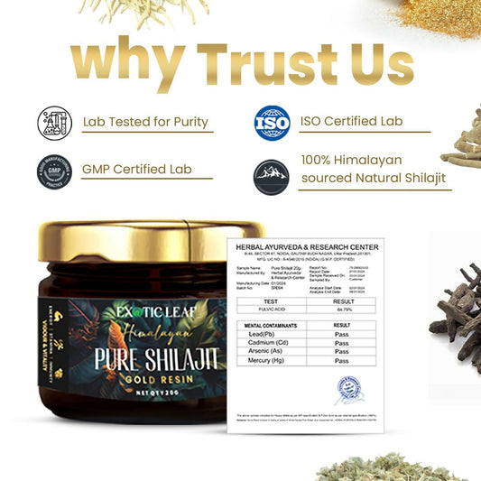 Exotic Leaf Gold SJ Resin 