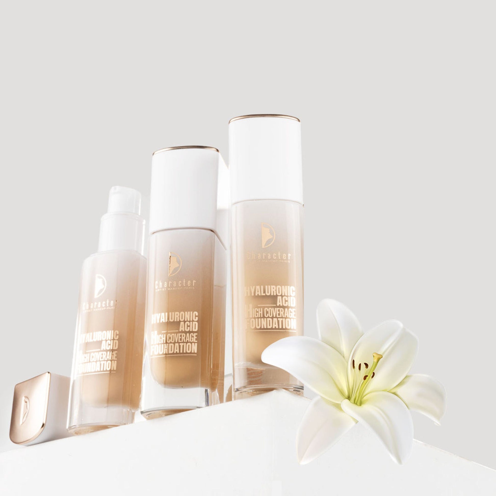 Character Hyaluronic Acid High Coverage Foundation - Chiffon 003