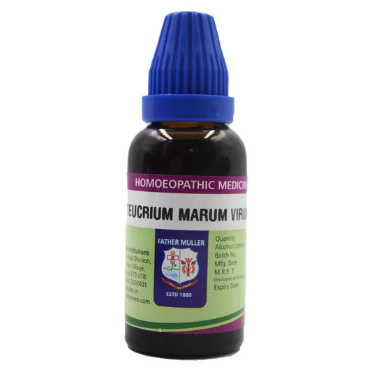 Father Muller Teucrium Marum Virum Mother Tincture Q - Grab2buy