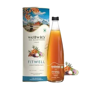 Wellwith Fitwell Juice – Himalayan Sea Buckthorn + Garcinia, Kokum & Punarnava  Grab2Buy Wellwith Grab2Buy