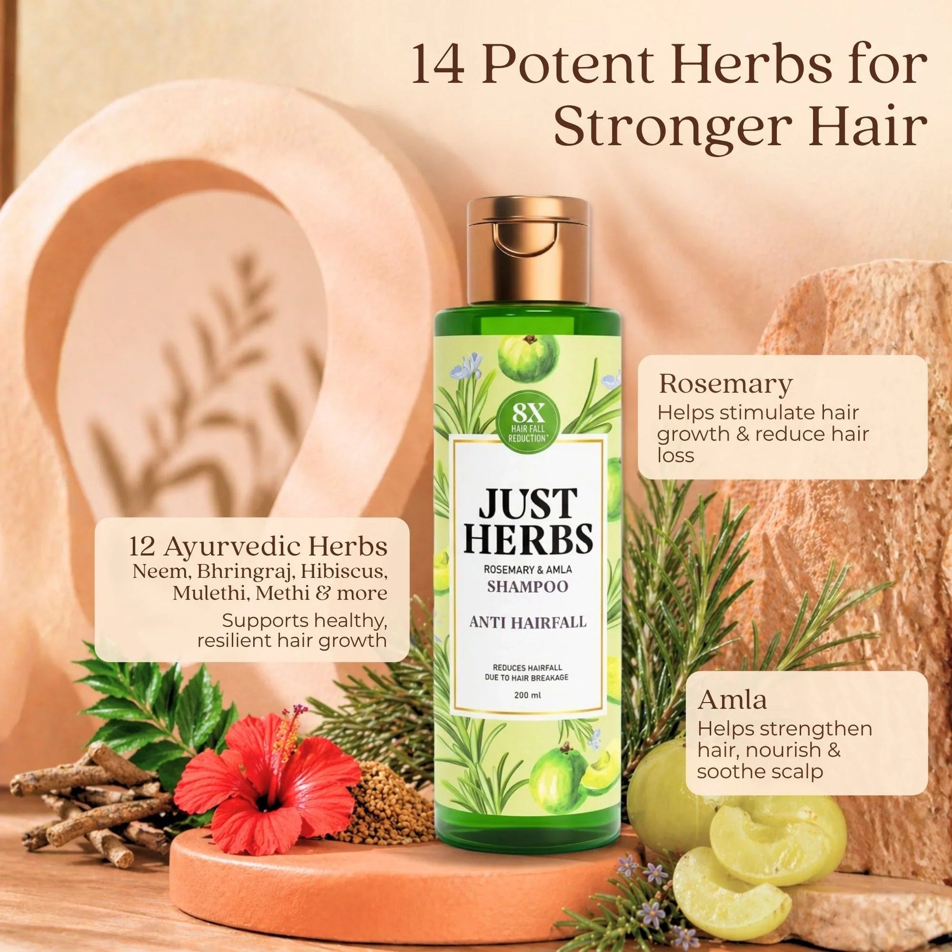 Anti Hairfall Shampoo | Rosemary, Amla & 12 Herbs 
