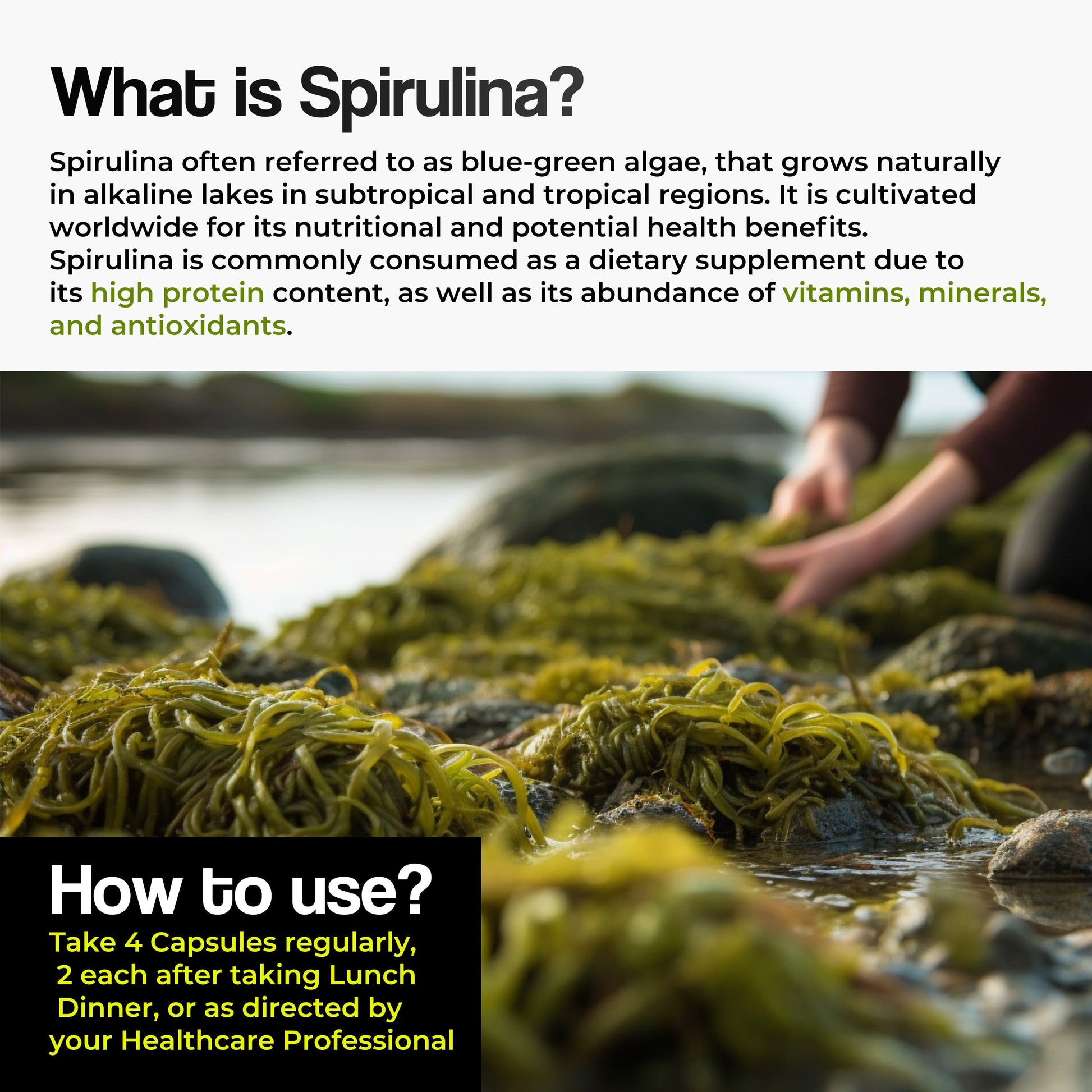 Health Veda Organics Spirulina Capsules Health Veda Organics