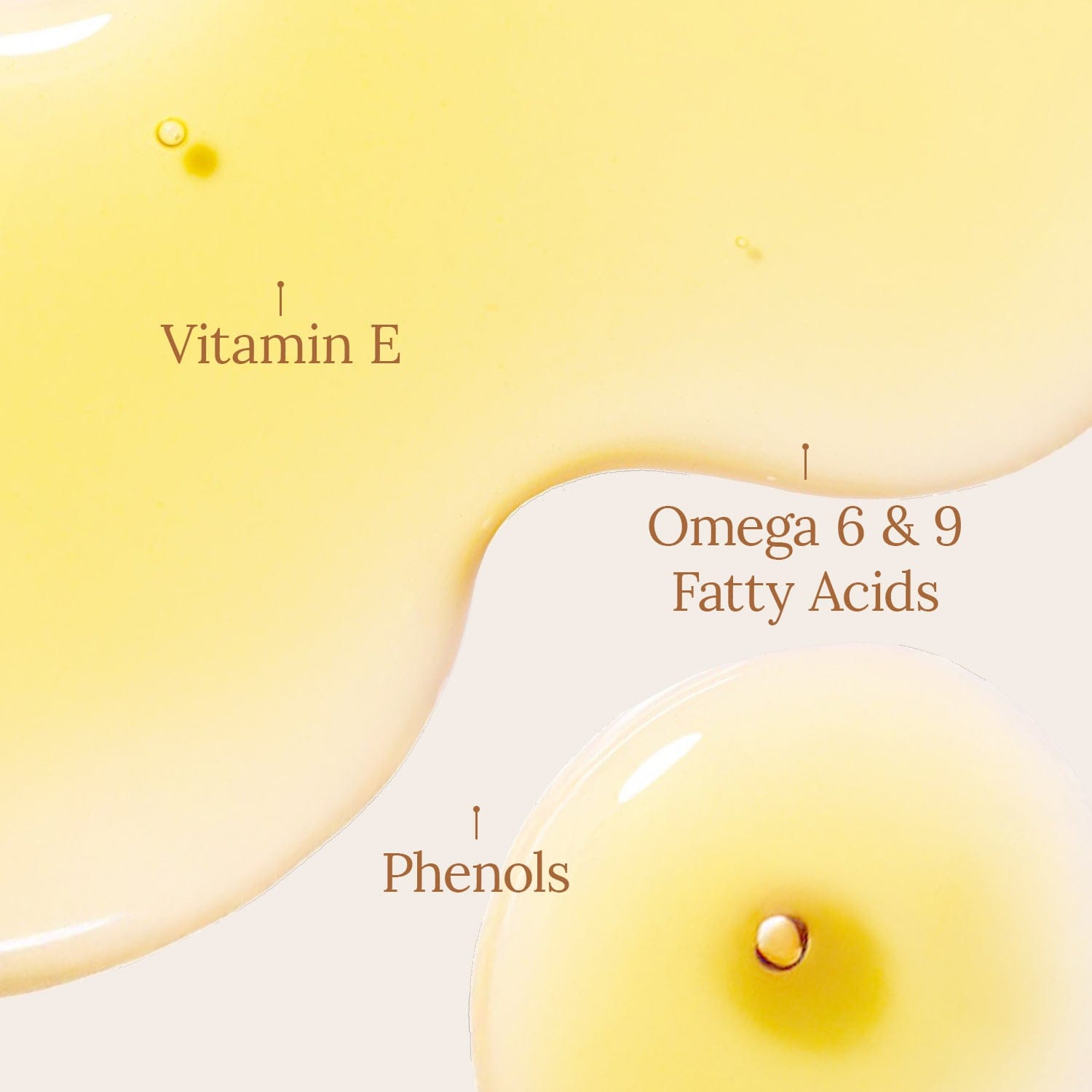 Organic Argan Oil 