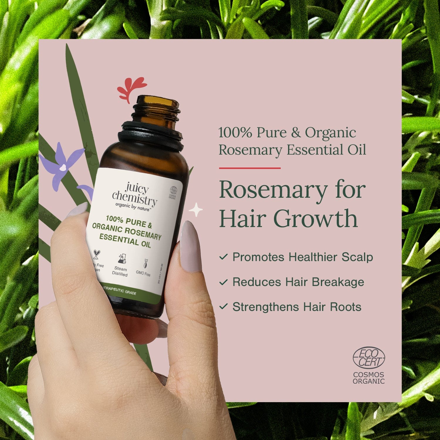 Organic Rosemary Essential Oil | Pure & Certified 