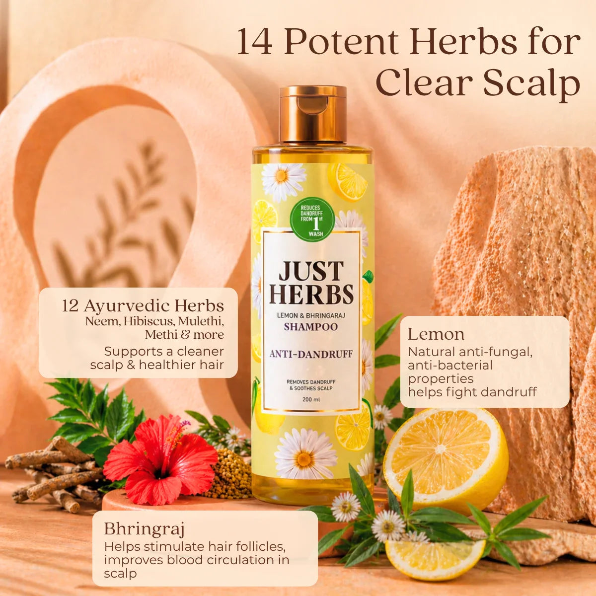 Anti Dandruff Shampoo | Lemon, Bhringraj & 12 Herbs 