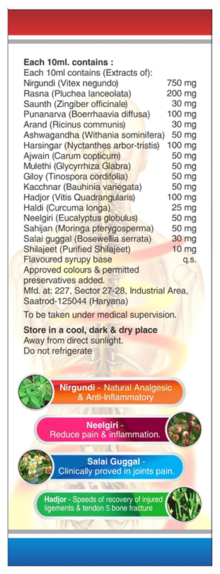 Sagius Ayugesic Syrup 